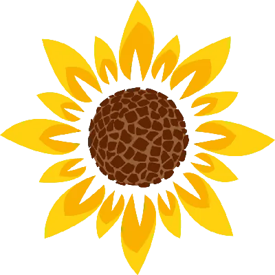 Dolce Della